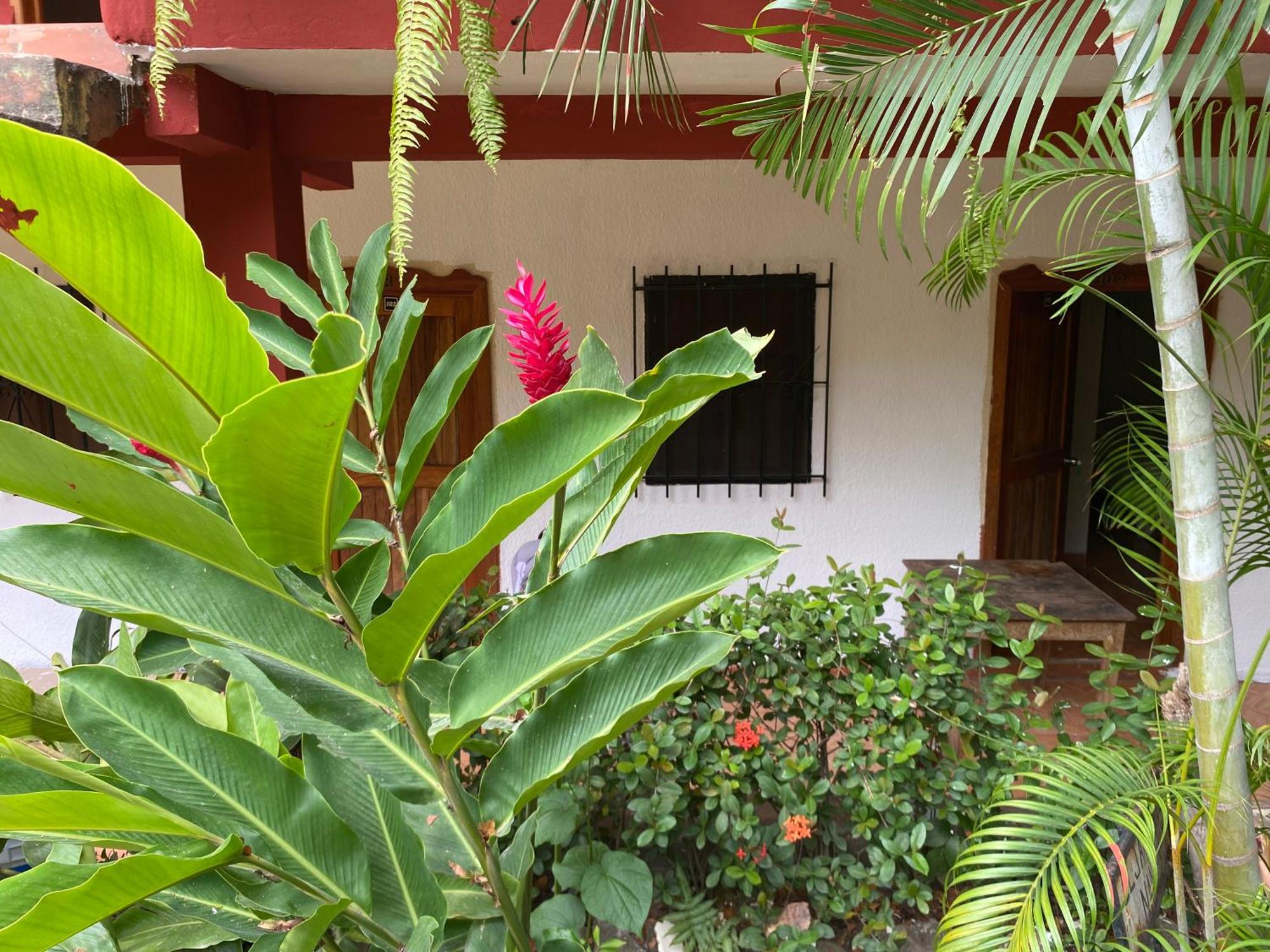 Hotel Posada La Canada Palenque Exterior photo